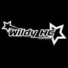 wildy.hc_03