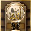 hassan.raza5164