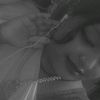 humayra.akter5766