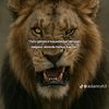abdo.ahmed8685