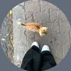 itjf116