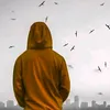user951010198