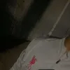 _noel_v