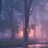 sunsetfantasies