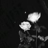 simrannnn66