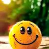yasmin.yasmin355