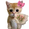 ilove_k86