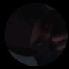 amaleey303