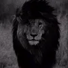 jndbd12808gjfcjc357