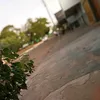 joopedro3086