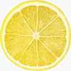 lemontiktok677