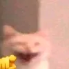 toplink41