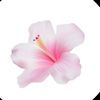 user71210765276170