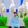 amir.hamza4513
