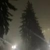 malinka_1aaaa