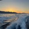 dilay_524