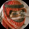 user8552181601353