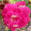 m.abbas2395