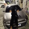 bruto_b9