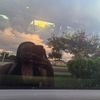 userlyynotfound