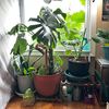 decorraesthetic