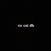 cocaidb151