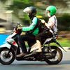 jaket hijau