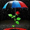 Ahmed_Armo