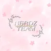 nerdzteamxinchao