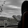 dahlia.wati74