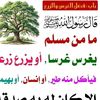 user84774601815346