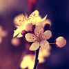 tamanna.akther3610