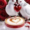 user3177778260097fgccc