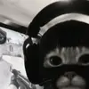 nojjhx_0