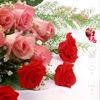user9837405455944