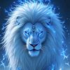 ahmadkashif316