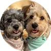 lucy.and.charlie