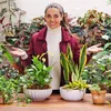 Vasos de plantas C&A