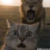 anhhkhoiinee