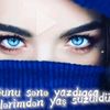 .............mavigozler