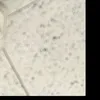 jjjjf121