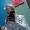 neng.mar151