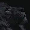 haloka_1