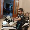 naqvi.shahjee