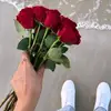 raniaalhakimi3