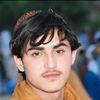 abdulhalim5802