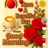 user25219008406386