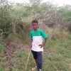 user68068100981612