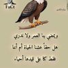 shdjc25
