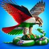 yahya.elkholy6